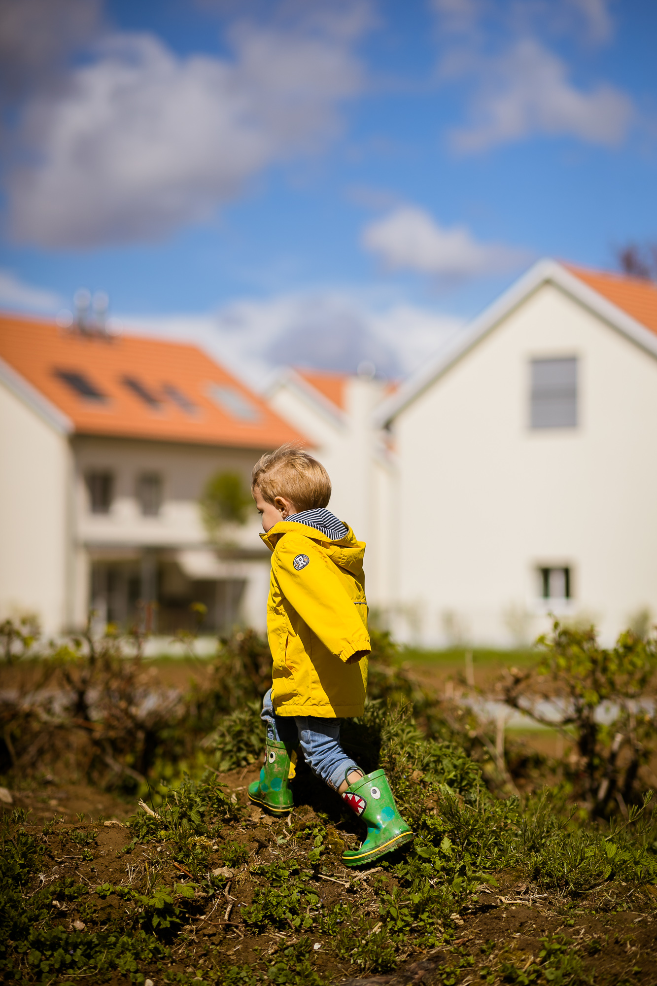 Export x3 1DX28324 Familienfotoshooting 2019 Hefti